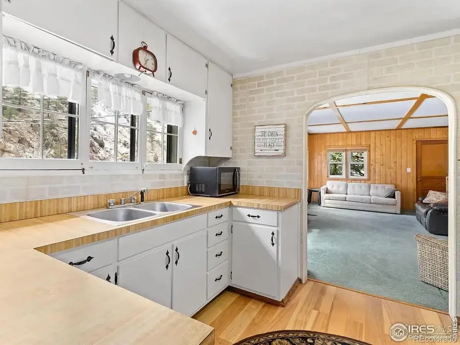 290 River Fork Road, Drake, CO 80515 - #3