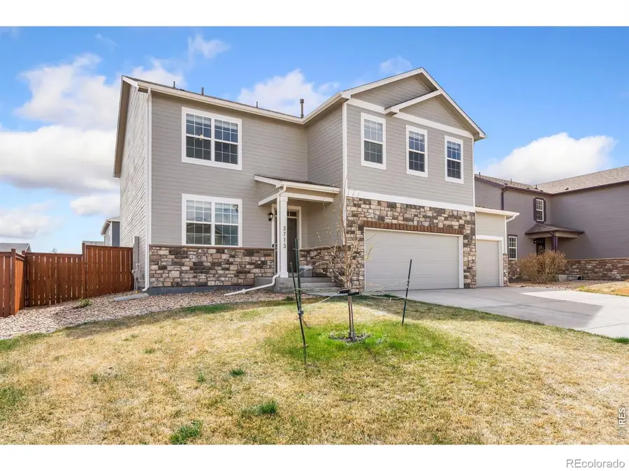 3713 Torch Lily Street, Wellington, CO 80549 - #2