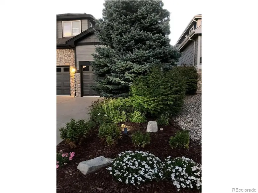 8106 Northstar Drive, Windsor, CO 80528 - #3