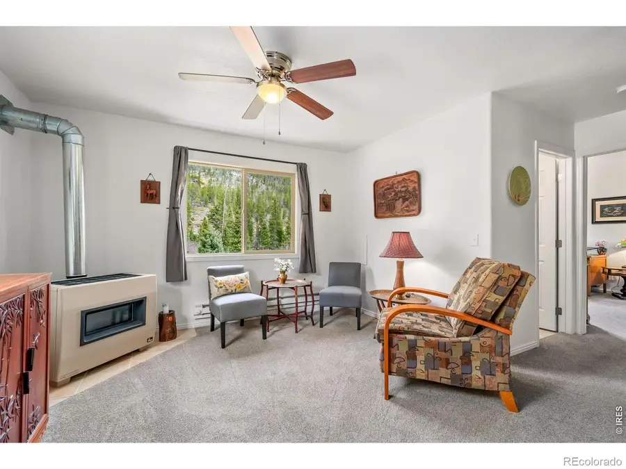 236 Mescalero Drive, Red Feather Lakes, CO 80545 - #3