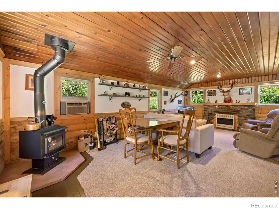 47 Falls Creek Drive, Bellvue, CO 80512 - #3