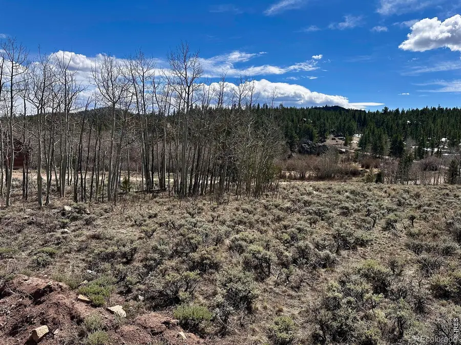 43 Chetco Court, Red Feather Lakes, CO 80545 - #2