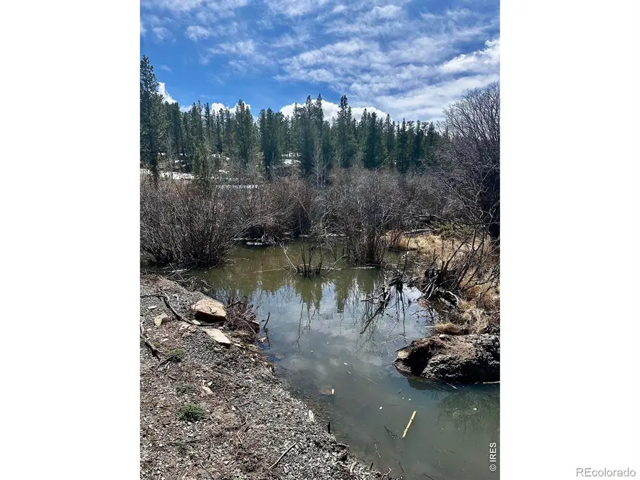 43 Chetco Court, Red Feather Lakes, CO 80545 - #3