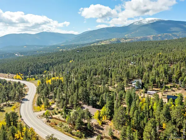 11982 Peak To Peak Drive, Allenspark, CO 80510