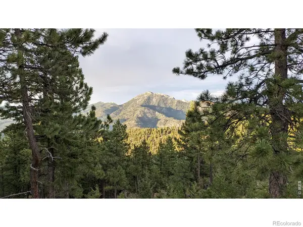 1312 Chute Road, Golden, CO 80403