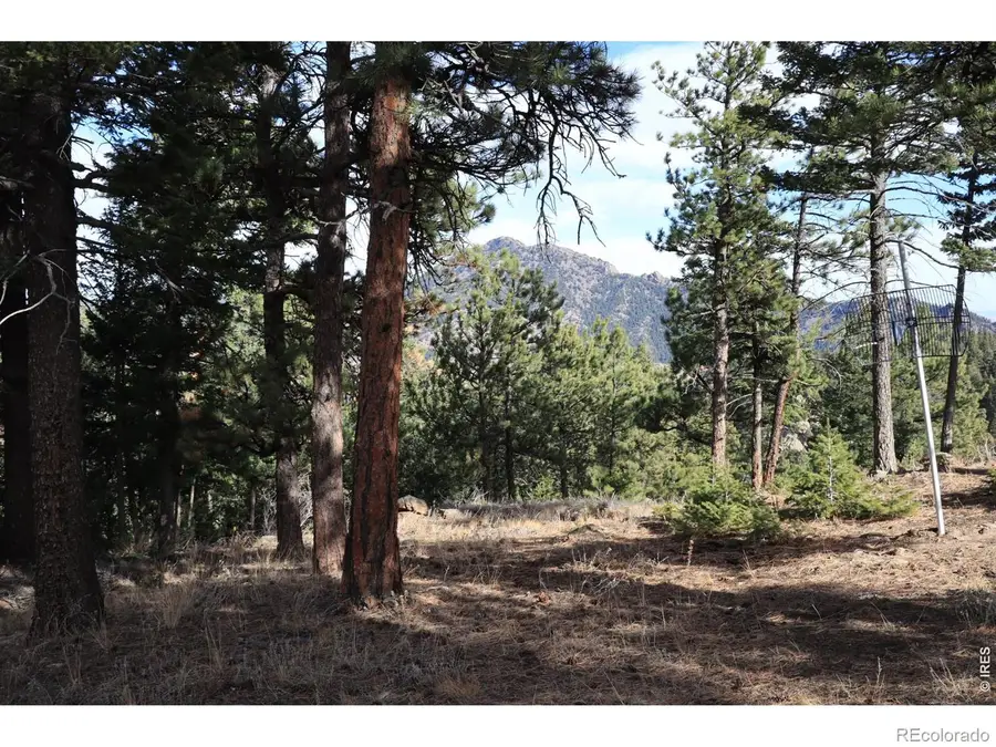 1312 Chute Road, Golden, CO 80403 - #3