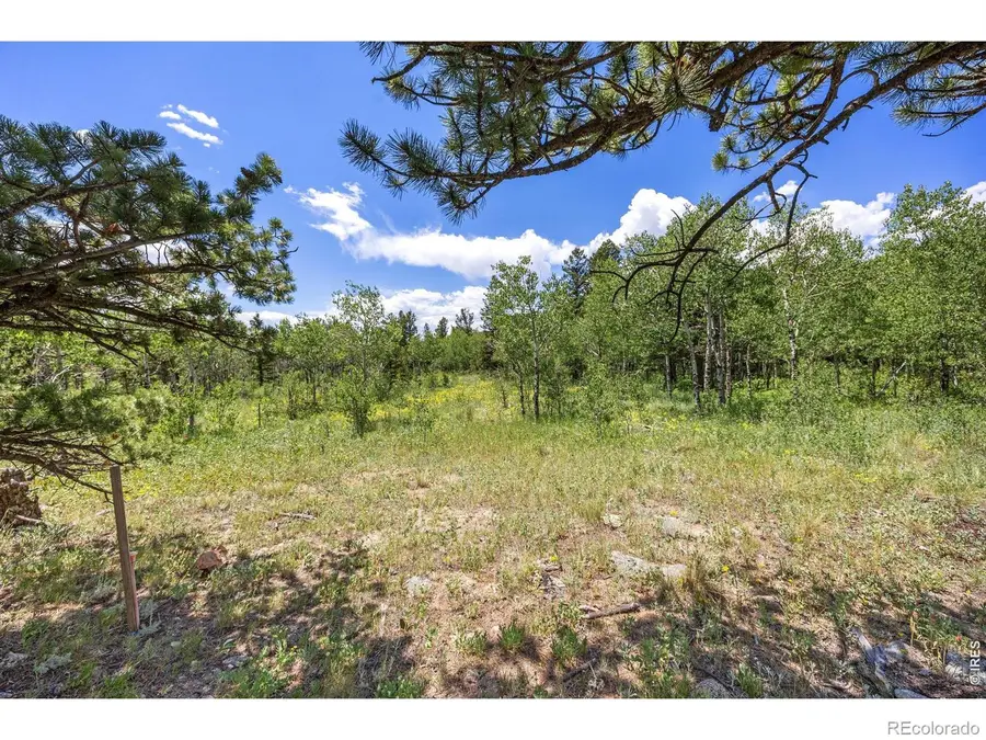 1568 County Road 103, Nederland, CO 80466 - #2