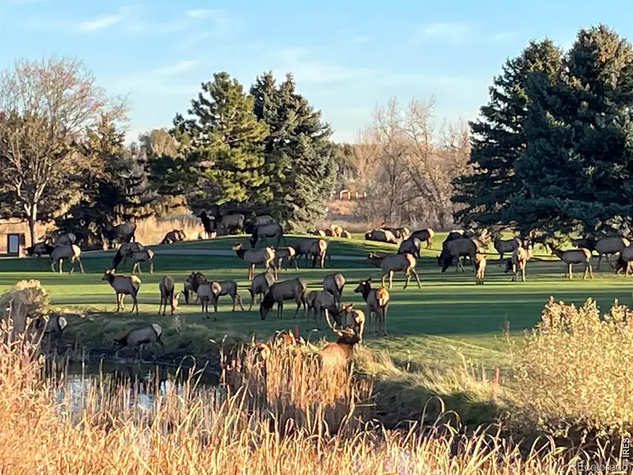 4339 Golf Vista Drive, Loveland, CO 80537 - #2