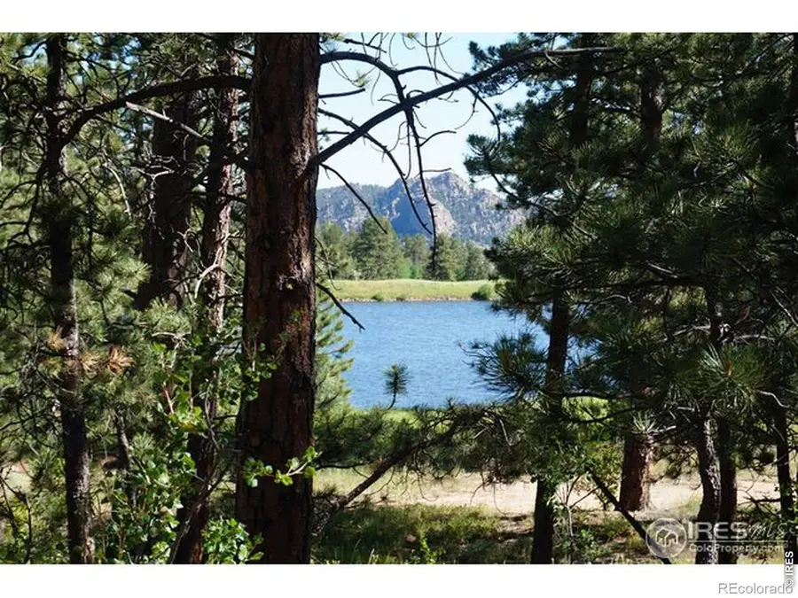 1001 Fox Acres Drive E, Red Feather Lakes, CO 80545 - #2