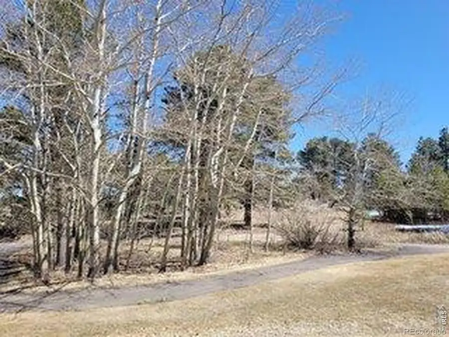 1001 Fox Acres Drive E, Red Feather Lakes, CO 80545 - #3