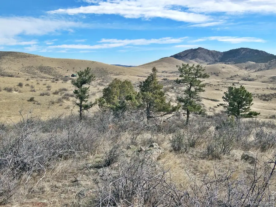 0 Gordon Creek Lane, Livermore, CO 80536 - #2