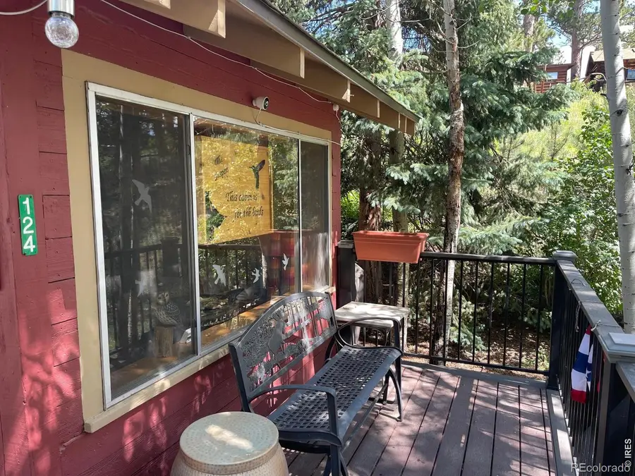 124 Ski Road, Allenspark, CO 80510 - #2