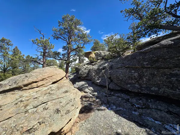 0 Sinisippi Road, Red Feather Lakes, CO 80545