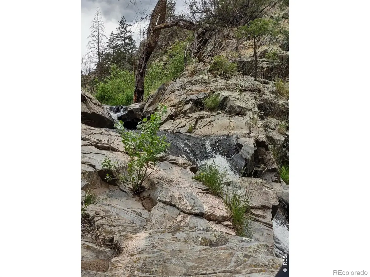 439 Redtail Ridge Way, Bellvue, CO 80512 - #1