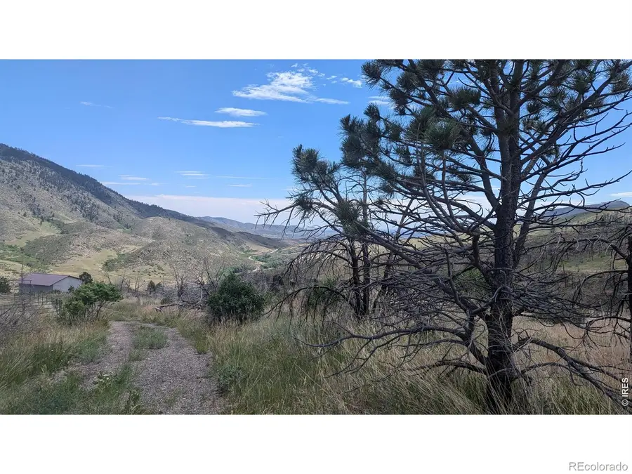 439 Redtail Ridge Way, Bellvue, CO 80512 - #2