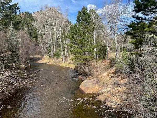 Old Ranger Drive, Estes Park, CO 80517