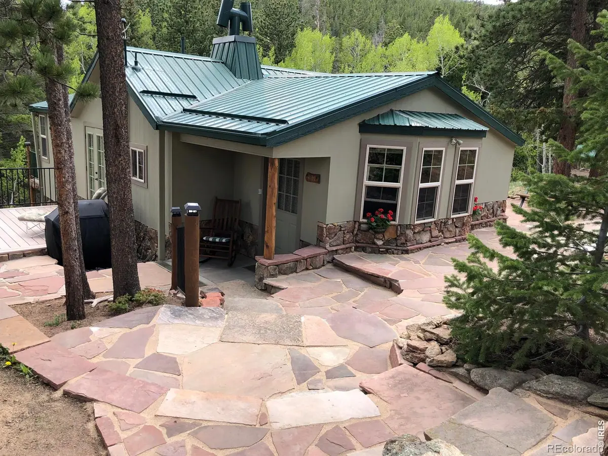 131 County Road 90, Allenspark, CO 80510 - #1