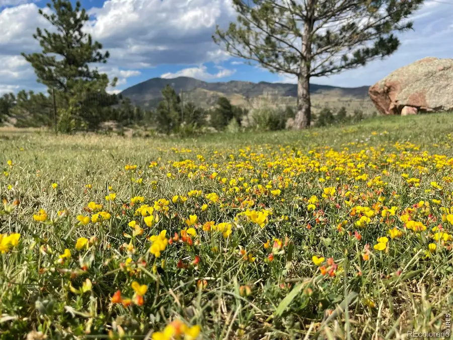 294 Wedge Rock Drive, Lyons, CO 80540 - #2