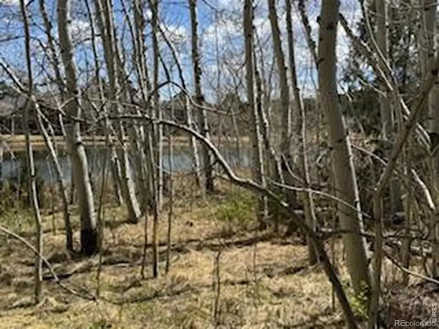 400 Fox Acres Drive W, Red Feather Lakes, CO 80545 - #2