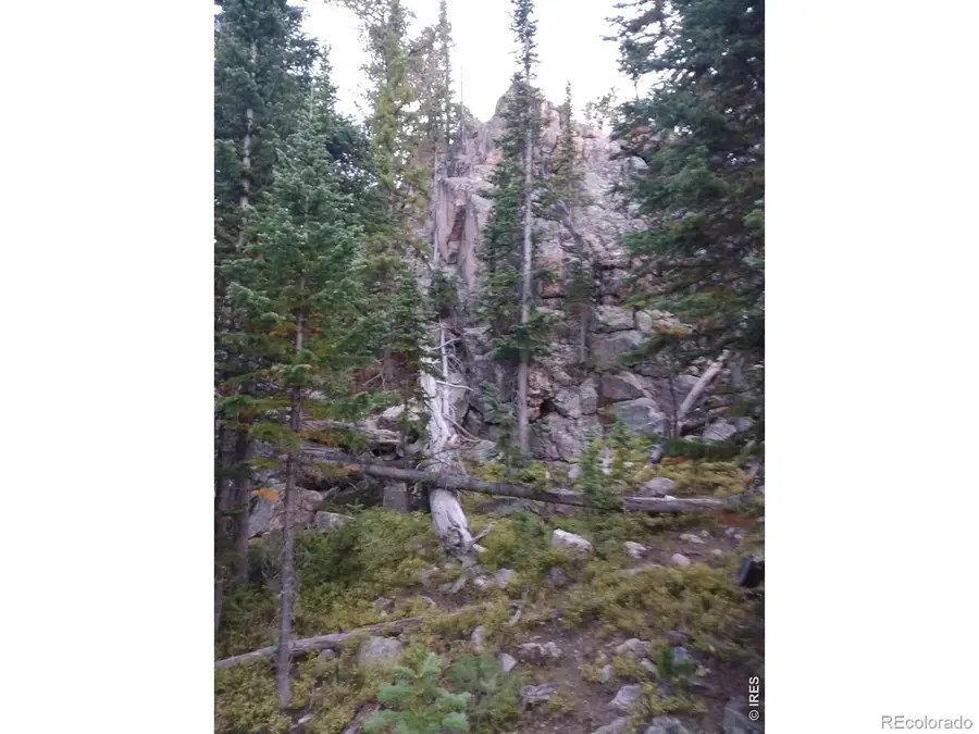 3765 Forest Road 195, Red Feather Lakes, CO 80545 - #2