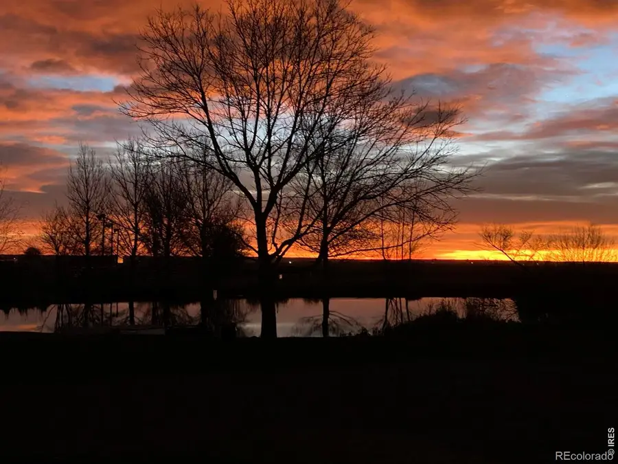 612 W County Road 74, Wellington, CO 80549 - #3