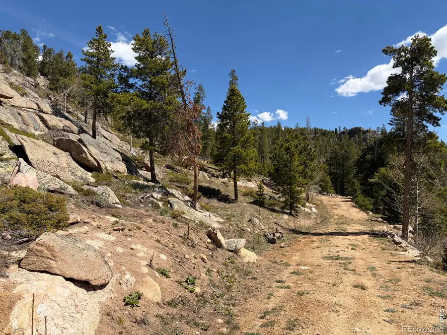 726 Micmac Drive, Red Feather Lakes, CO 80545 - #3