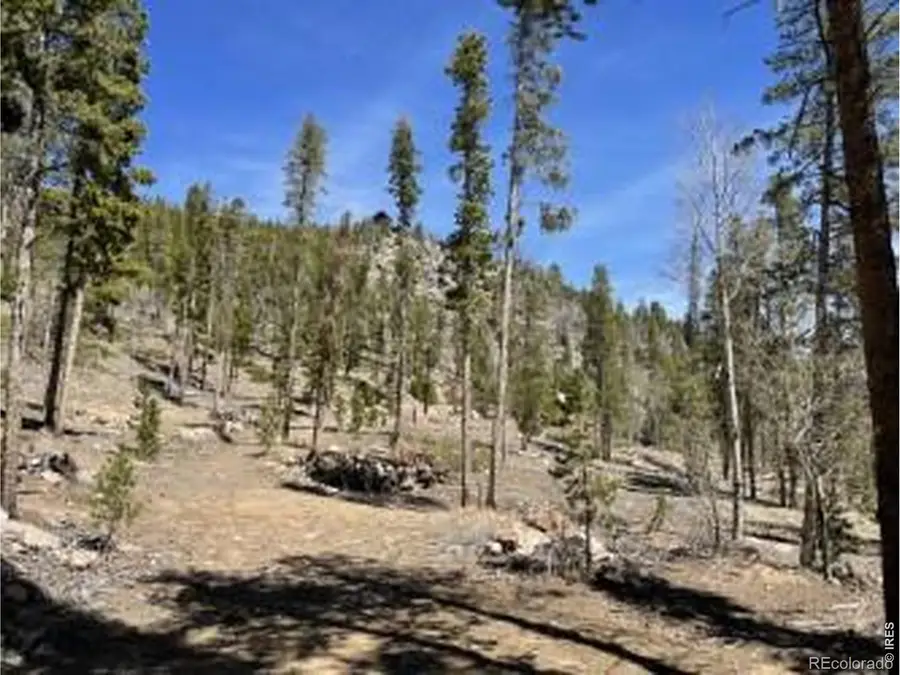 1374 Jicarilla Trail, Red Feather Lakes, CO 80545 - #2