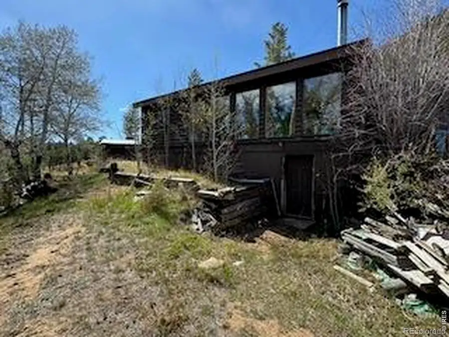 1241 Giant Track Road, Estes Park, CO 80517 - #3