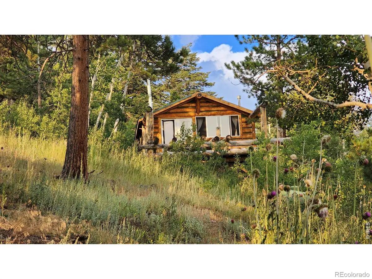 7026 Storm Mountain Drive, Drake, CO 80515 - #1