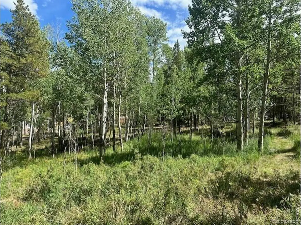 293 Aspen Circle, Black Hawk, CO 80422 - #1