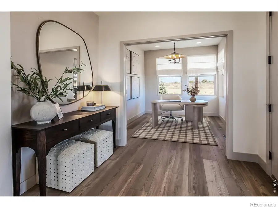 744 Trumpet Court, Windsor, CO 80550 - #2
