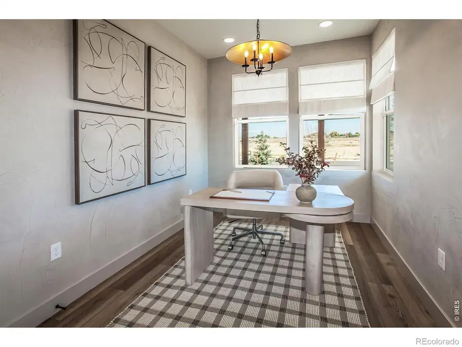 744 Trumpet Court, Windsor, CO 80550 - #3