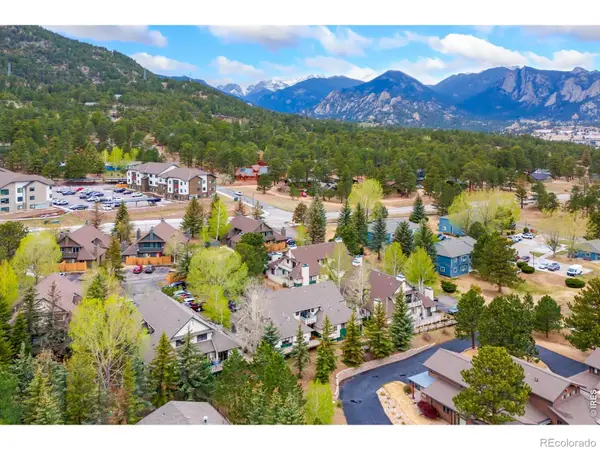 1010 S Saint Vrain Avenue #5, Estes Park, CO 80517