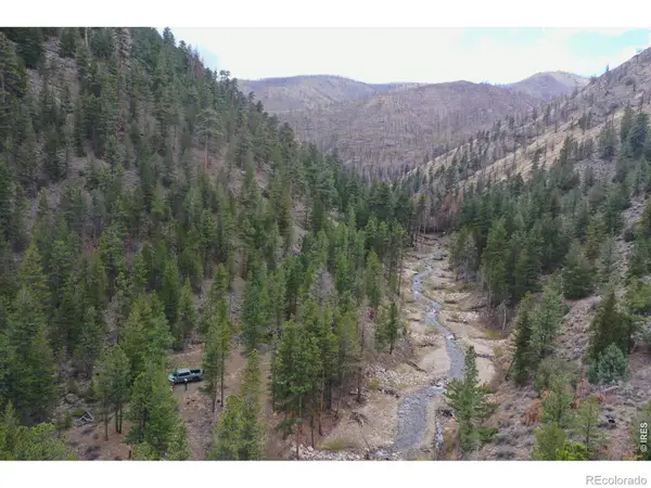 122 Black Hollow Road, Bellvue, CO 80512
