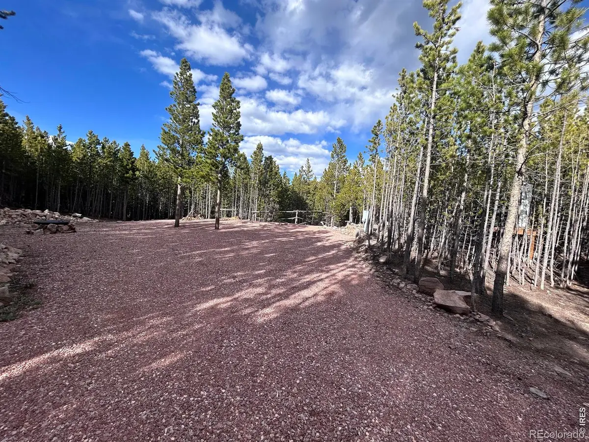 2596 Ottawa Way, Red Feather Lakes, CO 80545 - #1
