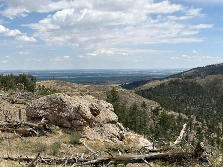 711 Saddle Ridge Road, Bellvue, CO 80512 - #3
