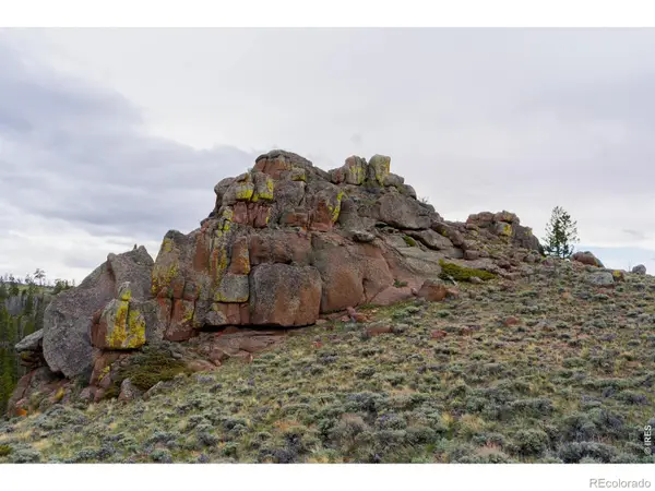 0 Laramie Overlook Roads, Livermore, CO 80536