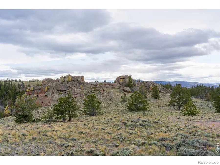 0 Laramie Overlook Roads, Livermore, CO 80536 - #3