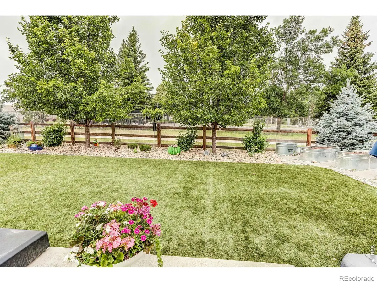 1032 Marfell Street, Erie, CO 80516 - #1