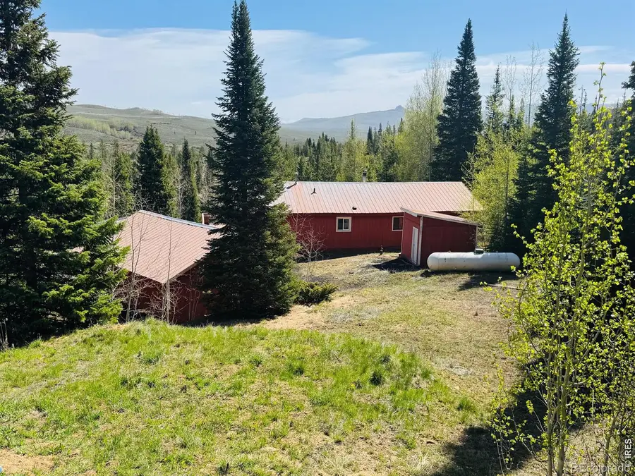 44 Alpine Lane, Walden, CO 80480 - #3