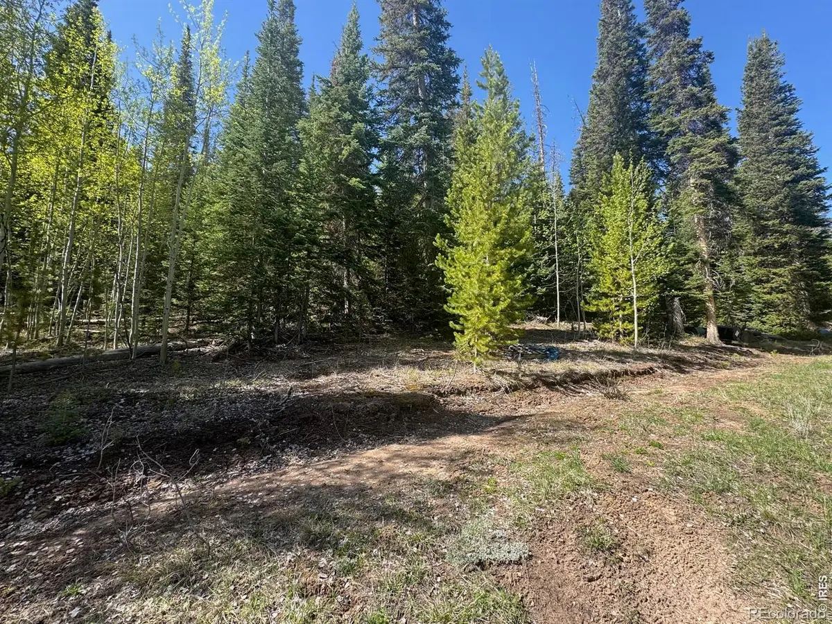 44 Wilderness Road, Walden, CO 80480 - #1