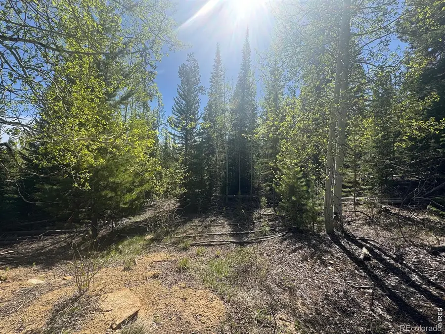 44 Wilderness Road, Walden, CO 80480 - #2