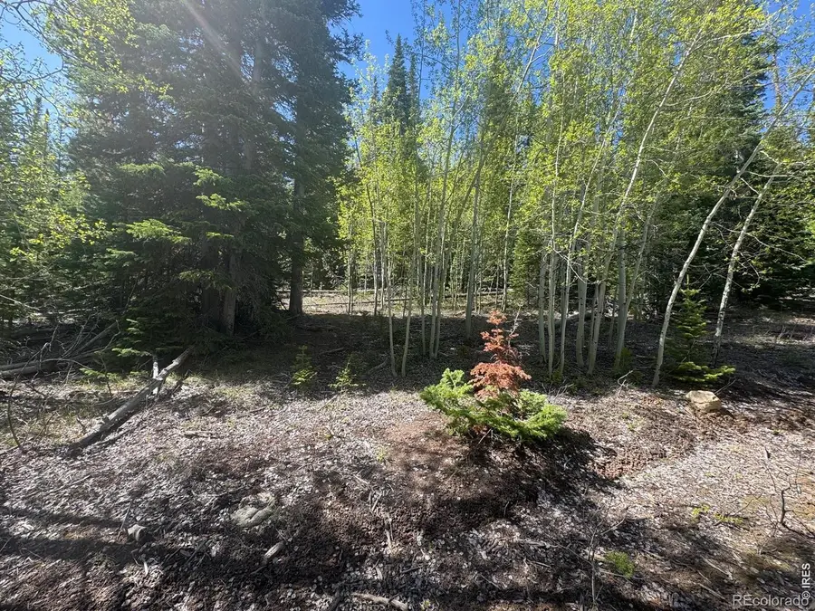 44 Wilderness Road, Walden, CO 80480 - #3
