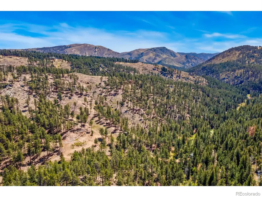 1899 Spring Valley Road, Bellvue, CO 80512 - #3