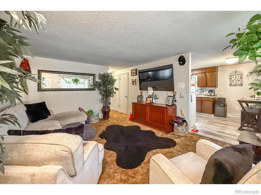 2051-2053 Collyer Street, Longmont, CO 80501 - #3