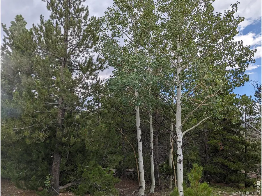 90 Quapaw Court, Red Feather Lakes, CO 80545 - #2