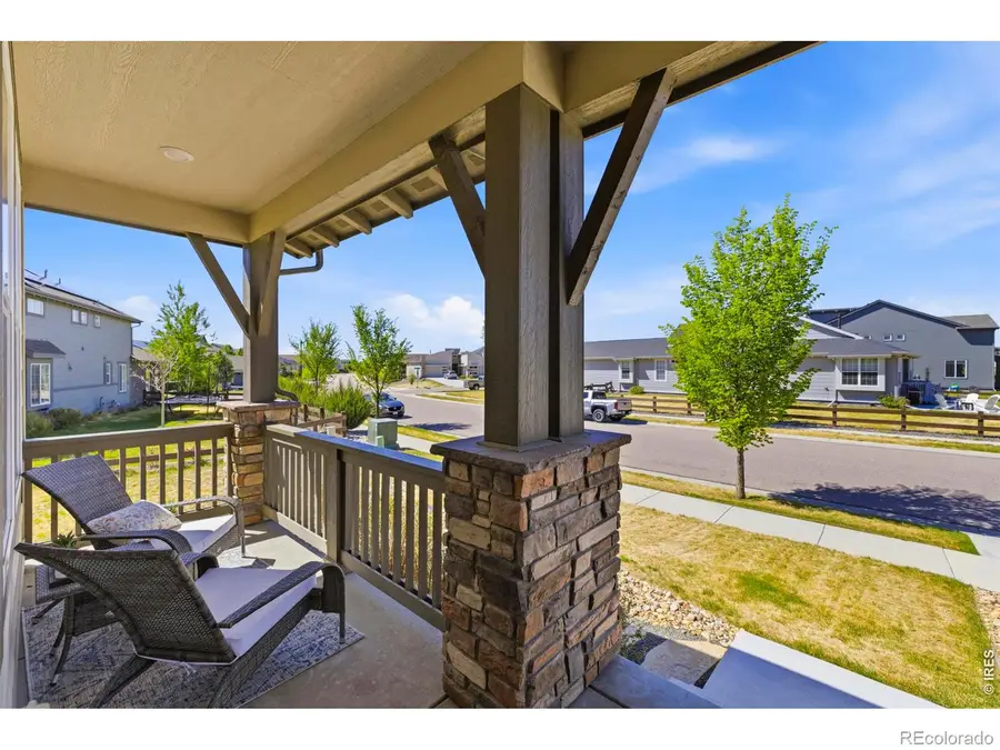 2910 Water View Street, Timnath, CO 80547 - #3
