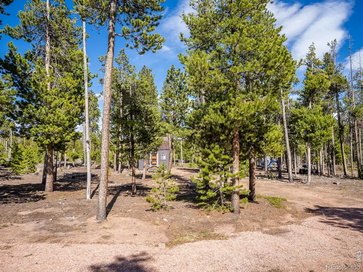 297 Manso Way, Red Feather Lakes, CO 80545 - #1