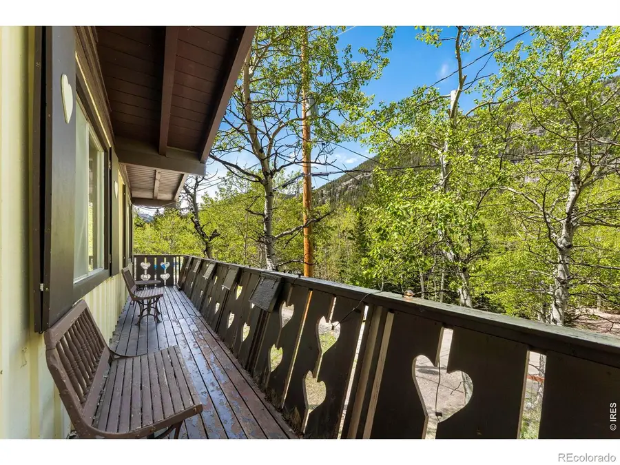 702 Bryan Avenue, Nederland, CO 80466 - #3