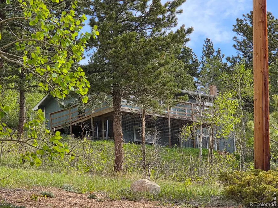 328 N Skinner Road, Allenspark, CO 80510 - #3